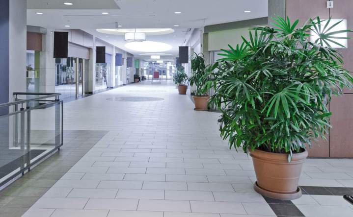 Strong, Clean, Professional Surfaces